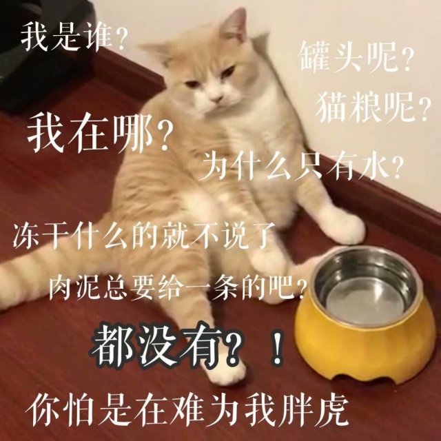 我是谁？我在哪？罐头呢？猫粮呢？为什么只有水？冻干什么的就不说了，肉泥总要给一条吧？都没有？！你怕是在难为我胖虎（橘猫）