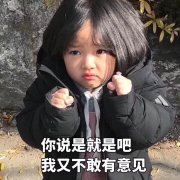 你说是就是吧我又不敢有意见(权律二)