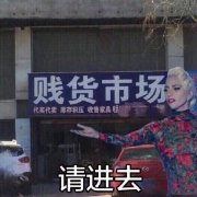 贱货市场在这，请进去（lady gaga）