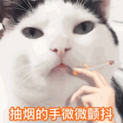 抽烟的手微微颤抖（猫咪抽烟动图）