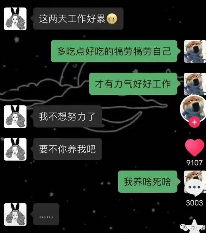 轻松一刻：嘴上很诚实，身体却很配合