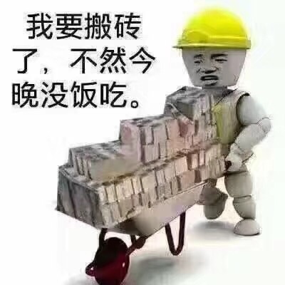 我要搬砖了,不然今晚没饭吃。