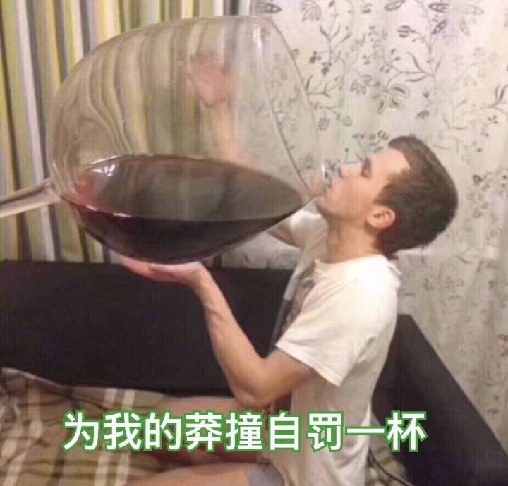 为我的莽撞自罚一杯