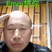 emmm 想你（圣主雄鹰高飞捂头动图）