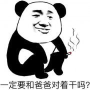 一定要和爸爸对着干吗?(熊猫头表情包)