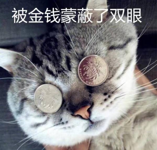 被金钱蒙蔽了双眼