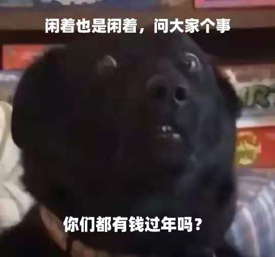 闲着也是着,问大家个事你们都有钱过年吗?(狗狗表情包)