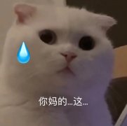 你妈的这