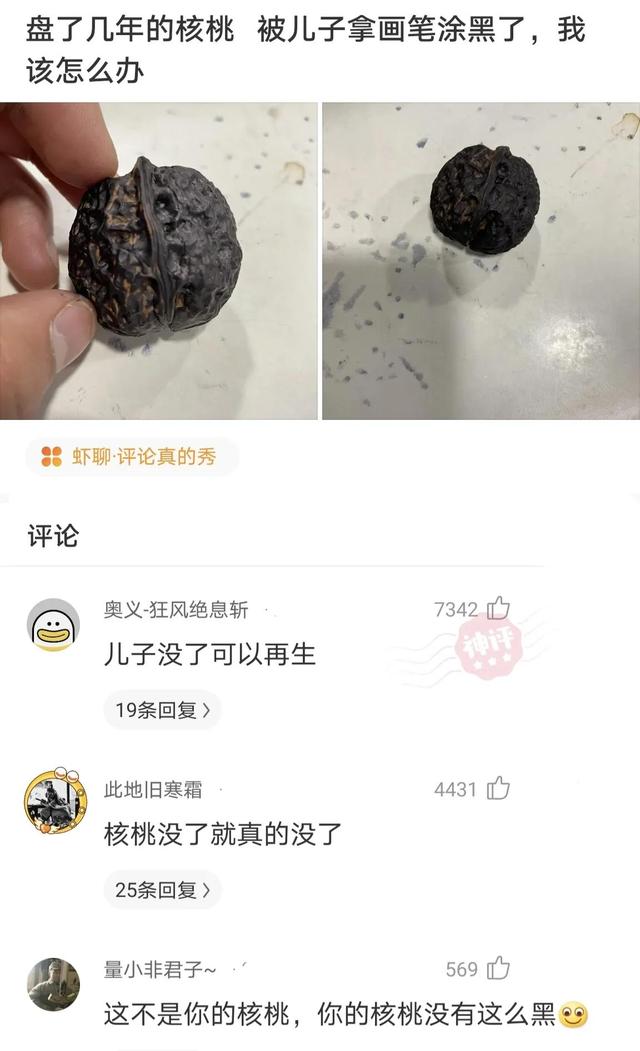 网友的神评论：不提雪，怎么形容雪很大。 看到评论我哭了 致敬