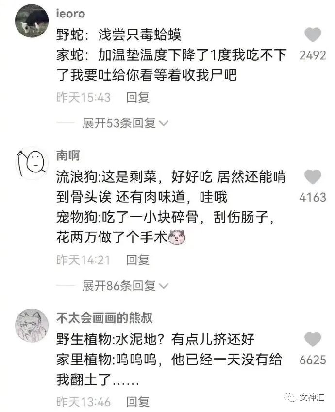 在X宝买了件睡衣，试穿后发朋友圈..？商家：求你把照片删了！吓得我睡不着！