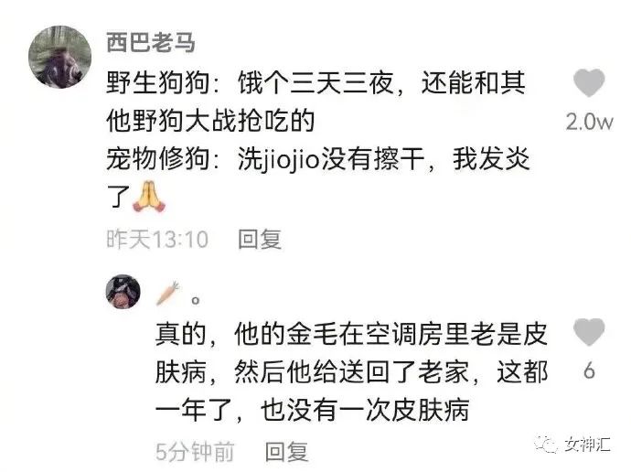 在X宝买了件睡衣，试穿后发朋友圈..？商家：求你把照片删了！吓得我睡不着！