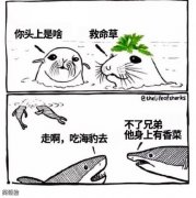 爱香菜人被内涵了