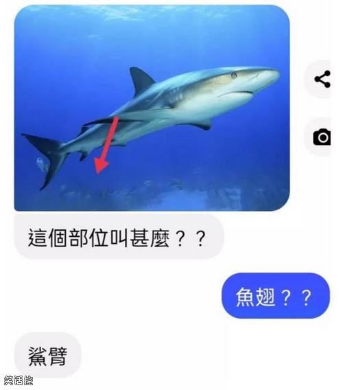 好像被内涵了