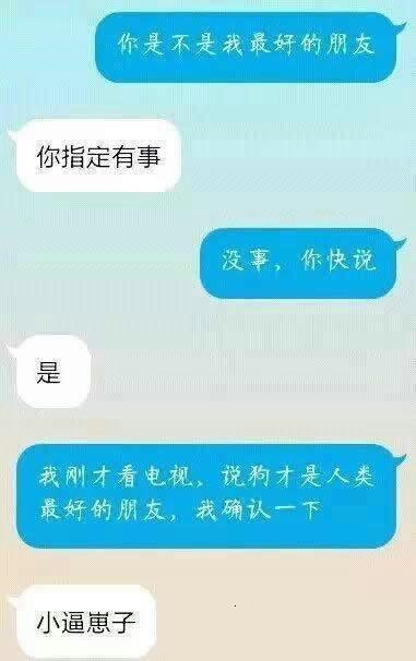 朋友 图片幽默 小狗狗