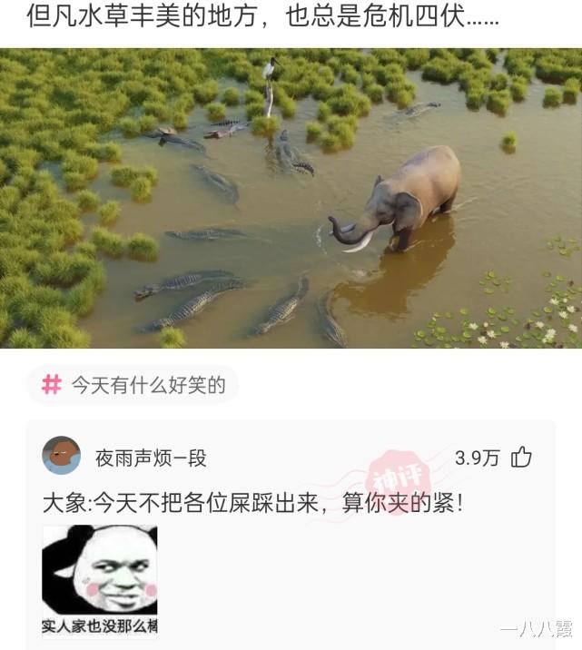 “请给这道乌龟炖鸡取个眼前一亮的名字！”哈哈哈霸王别姬