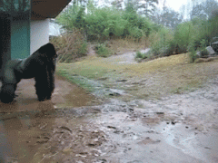 下雨天没有带伞的我