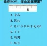 给你5cm，你会加在哪里