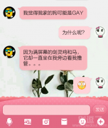 一直GAY的狗