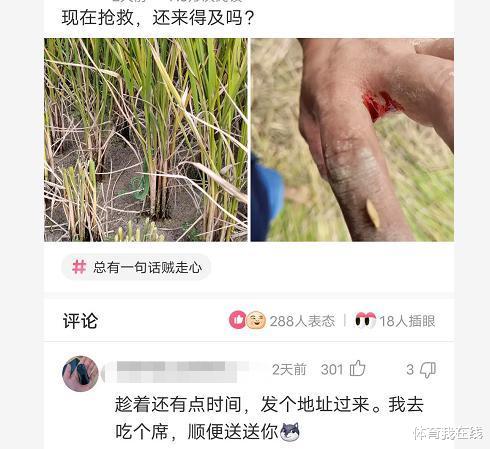 “拔草的时候不小心被咬了一口，现在抢救还来得及吗？”神评太吓人了，哈哈哈