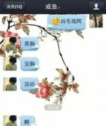 男女朋友笑话图片：没胸