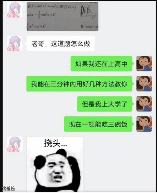 高中是知识巅峰没错了