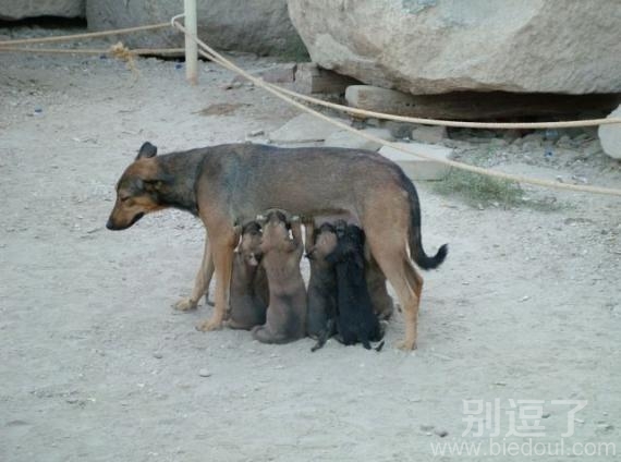 你都不能坐下嘛，这样不是很方便啊