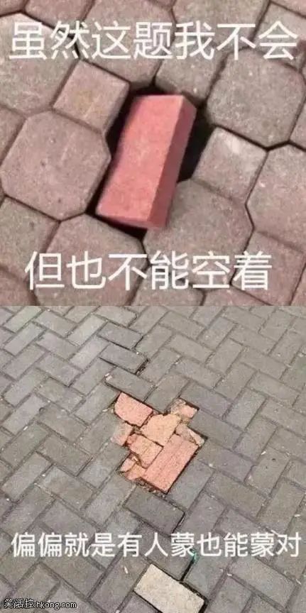 像极了考试的你