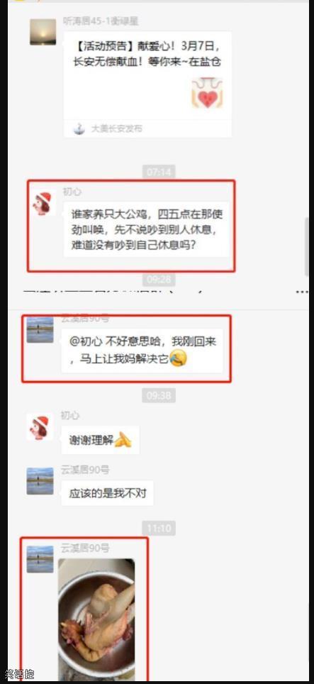 公鸡：就这么拿我祭天了