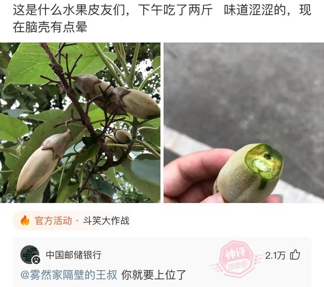 爆笑神评：结完婚的婚服，你们是怎么处理的？神评论笑喷了