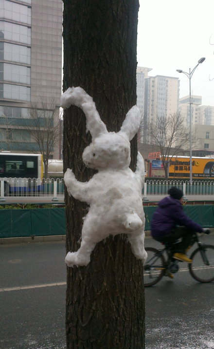 2012年爆笑雪景图片,你那里下雪了吗？