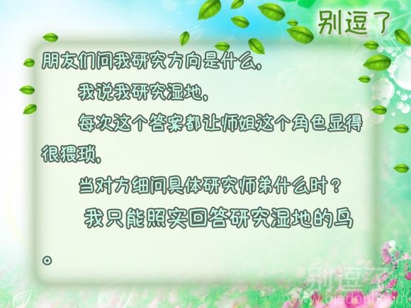 朋友们问我研究方向是什么