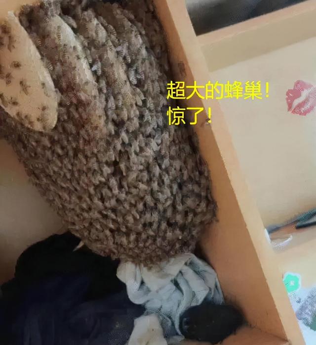 姑娘，你这衣服穿得也太任性了，就这么走在街上我都替你感到尴尬