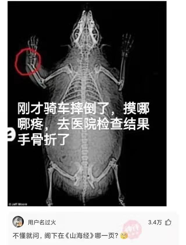 你是怎样看待骨灰撒海的？你愿意死后自己骨灰撒海吗？神回复