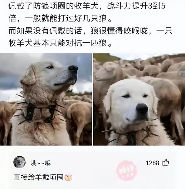 你是怎样看待骨灰撒海的？你愿意死后自己骨灰撒海吗？神回复