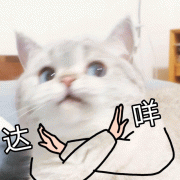 达咩(猫猫拒绝表情包)