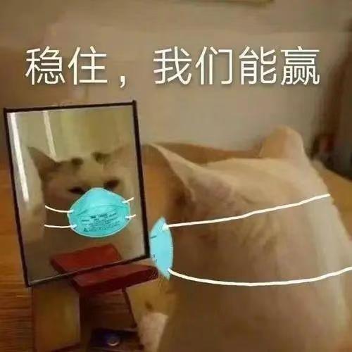 稳住,我们能赢(猫猫戴口罩表情包)