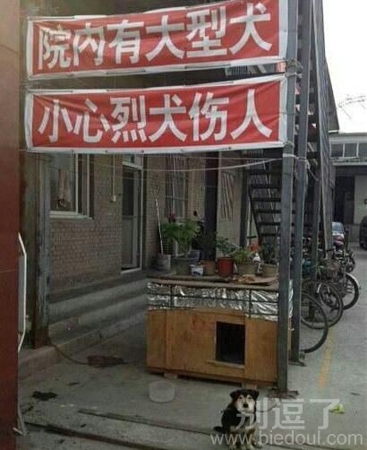 园内有大型恶犬！！