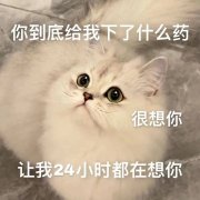 你到底给我下了什么药很想你让我24小时都在想你