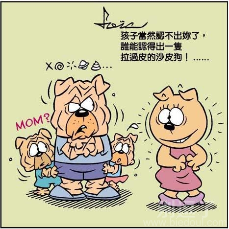 猪猪一家 幽默漫画图片