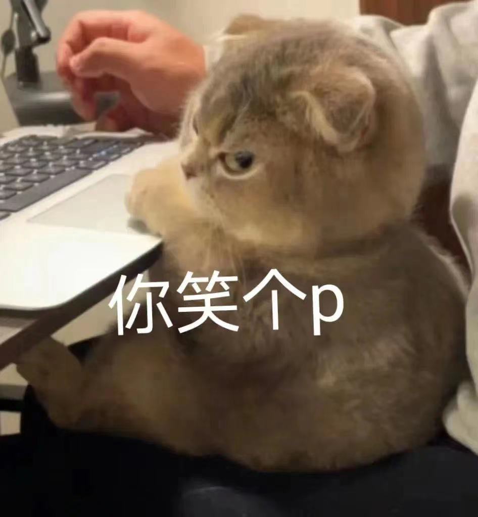 你笑个p(猫咪表情包)