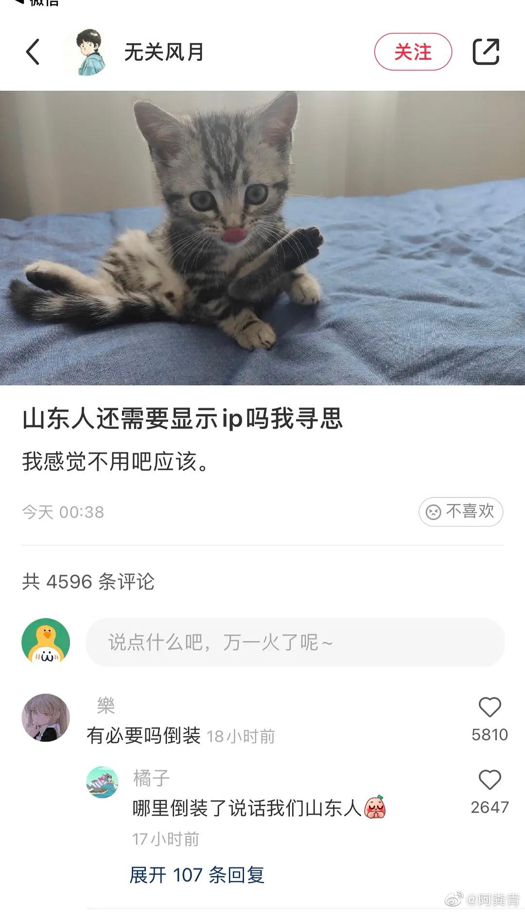 轻松一秒：所谓岁月静好，都是00后在寻衅滋事！