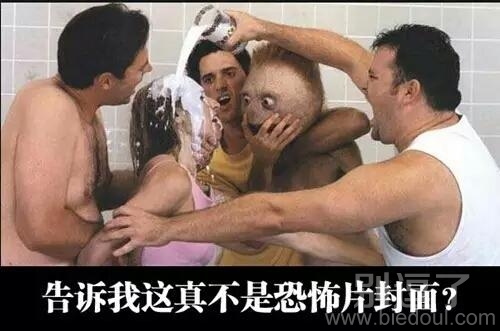 有点看不懂这个画面