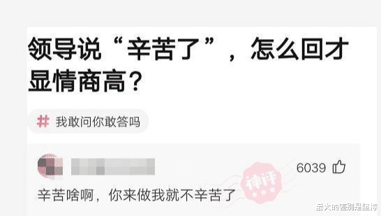 “老婆坐老板的车出差，这墨镜有点不对劲啊...”哈哈哈哈～兄弟淡定！