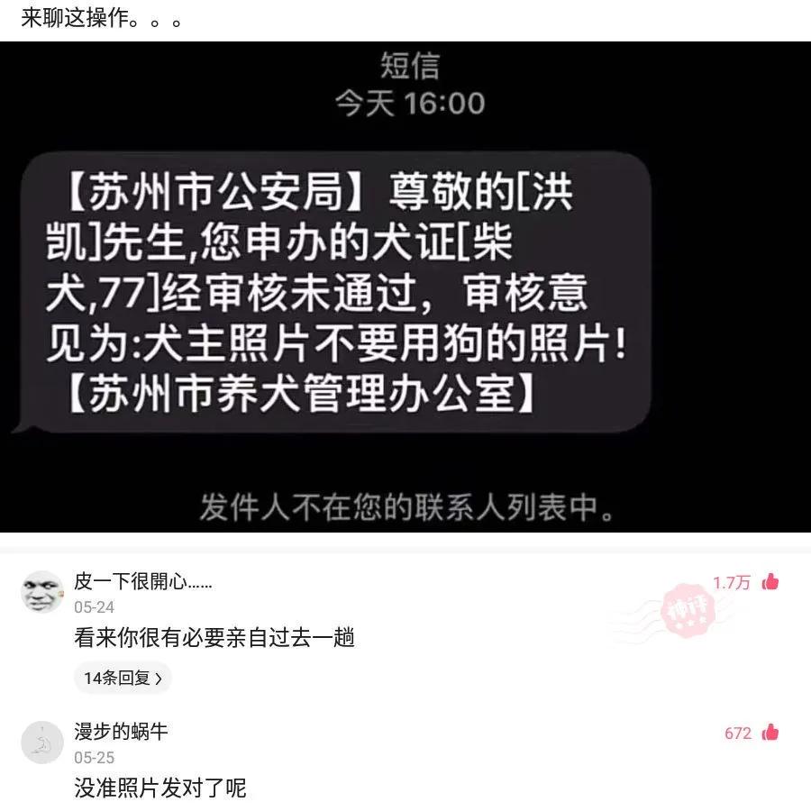 “如果我把日本东京炸了，祖国会不会保护我呢？”评论绝了哈哈哈！