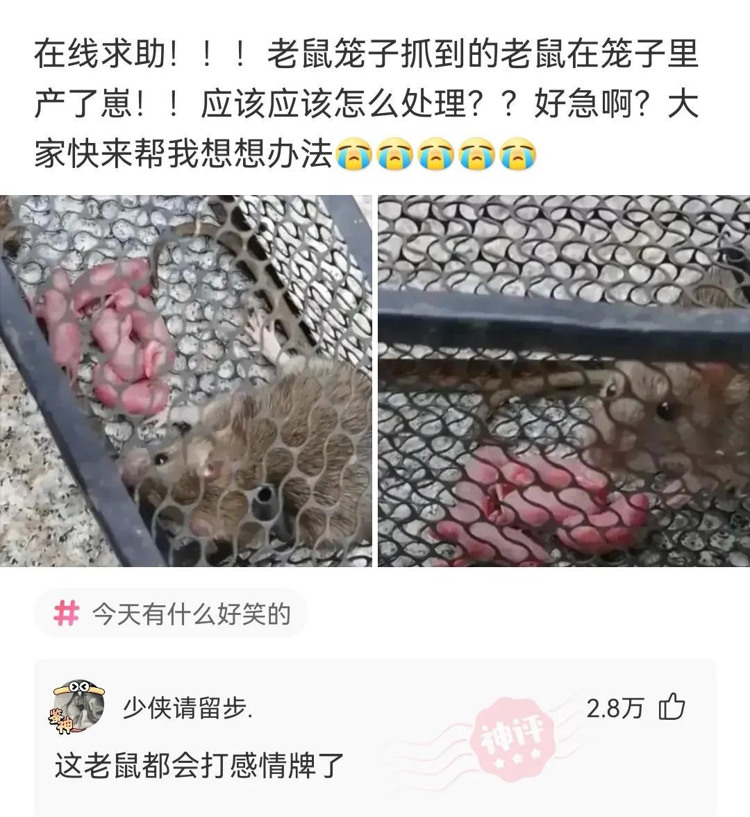 “传说中的采阴补阳，在现实中可以实现吗？”那叫采阳补阴哈哈哈哈哈哈