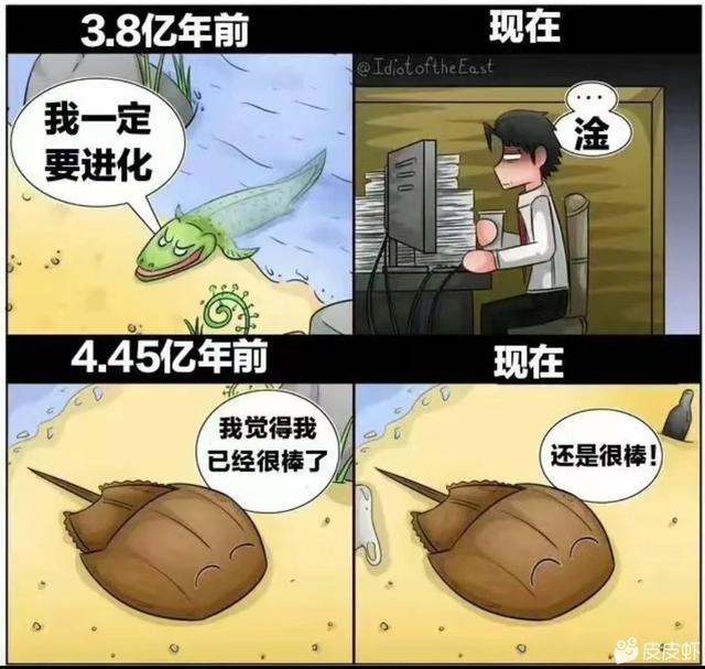 中间商赚差价