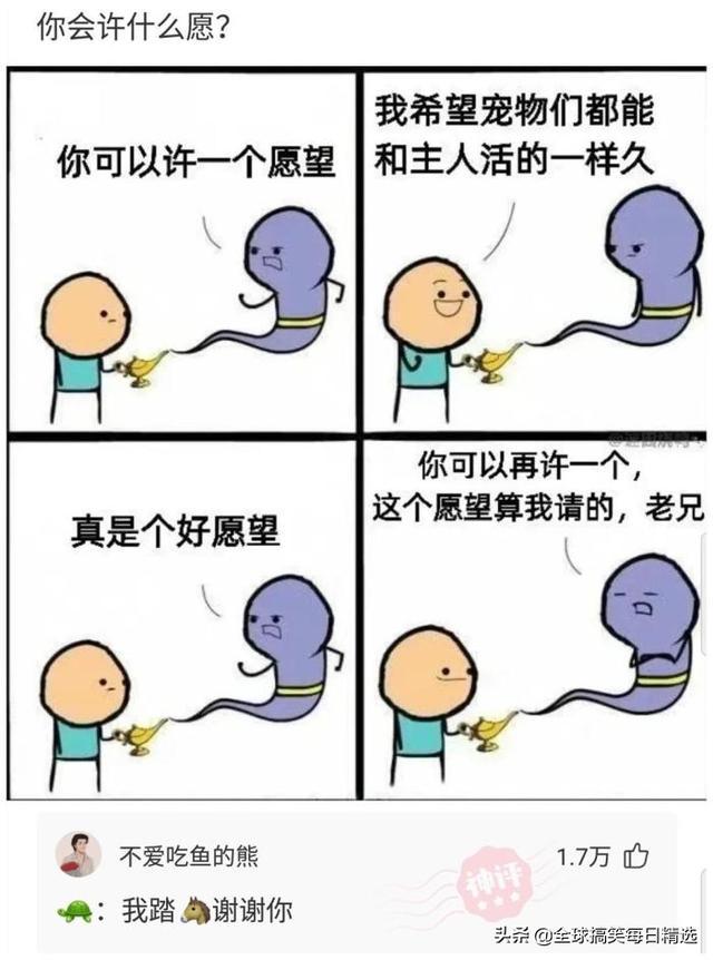 神评论：王大爷还是比较有才华的，难怪刘姐会喜欢你