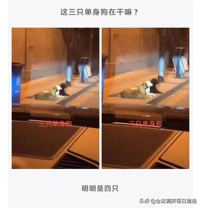 神评论：王大爷还是比较有才华的，难怪刘姐会喜欢你