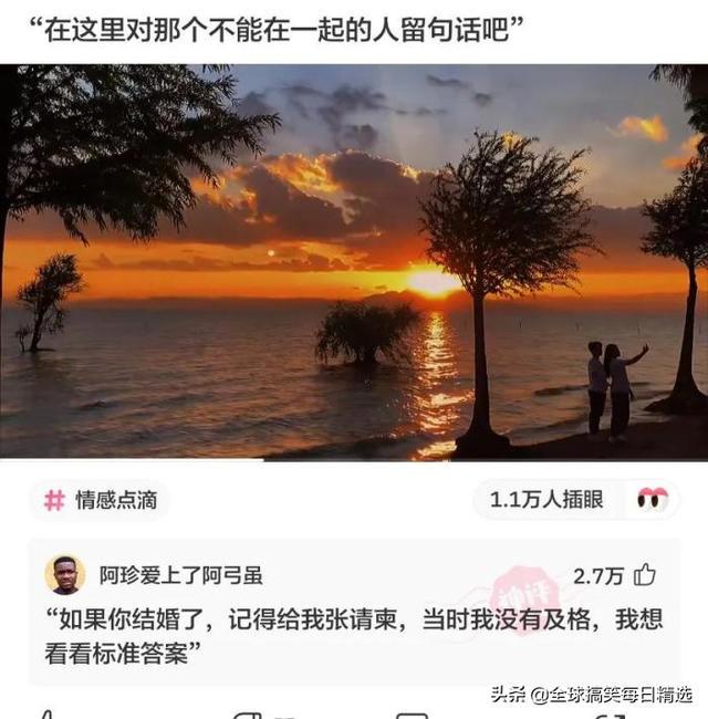 神评论：王大爷还是比较有才华的，难怪刘姐会喜欢你