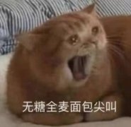 无糖全麦面包尖叫(流泪猫猫头表情包)